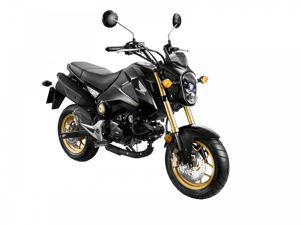 Giá xe MSX 2021 Xe máy Honda MSX 125 mới nhất 2021