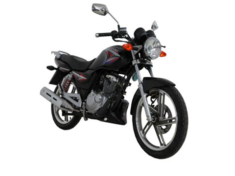 Suzuki EN150 Motorcycle Batch 252 Made in China AutoChecom